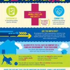 benefits-of-pet-sitter.jpg
